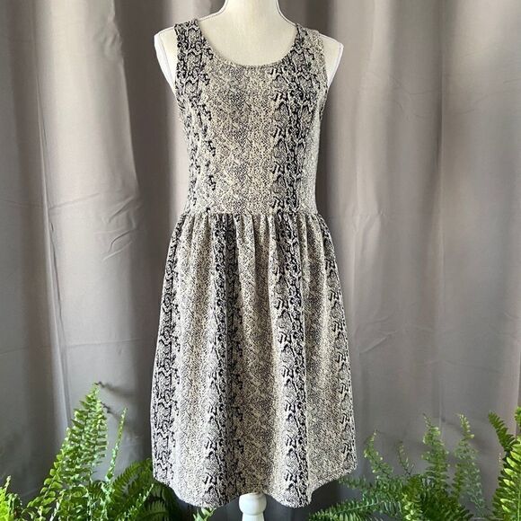 JACK by BB Dakota Knit Print Dress M - Picture 2 of 8